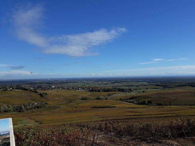 Les lucioles de montagny