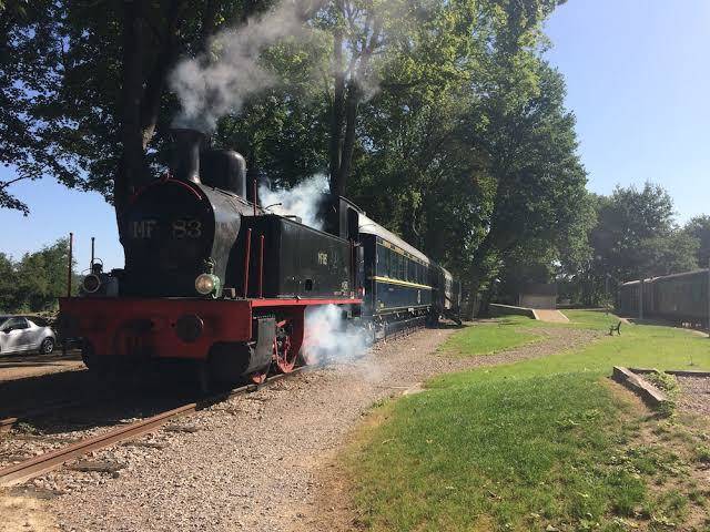 Train des reves