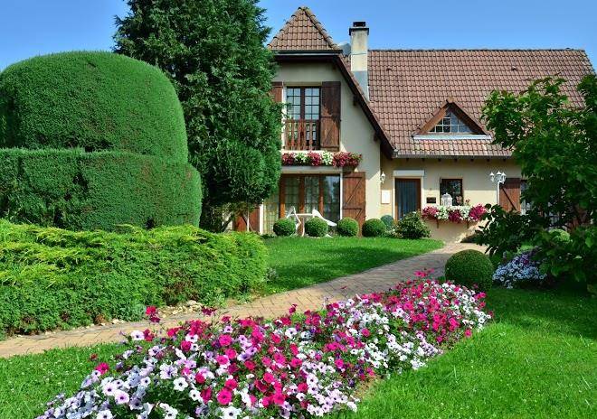 Chambres d'hotes du bambois et gite professionnel