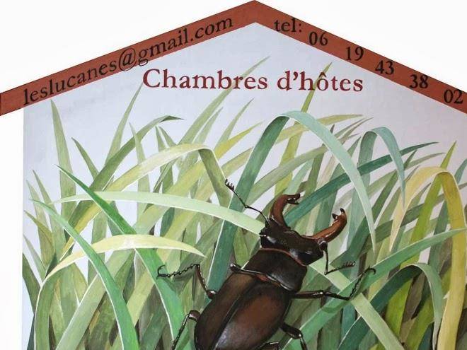 Chambres d'hotes les lucanes