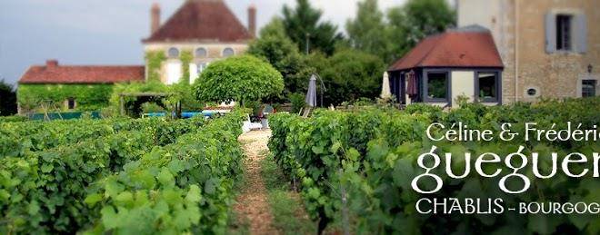 Domaine Celine Et Frederic Gueguen Image