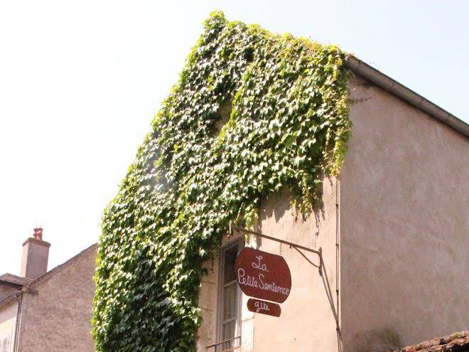La petite sentence
