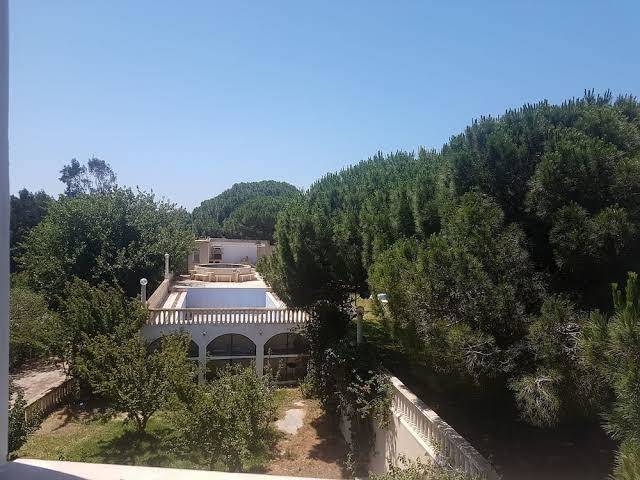 Gite du pecheur haouaria