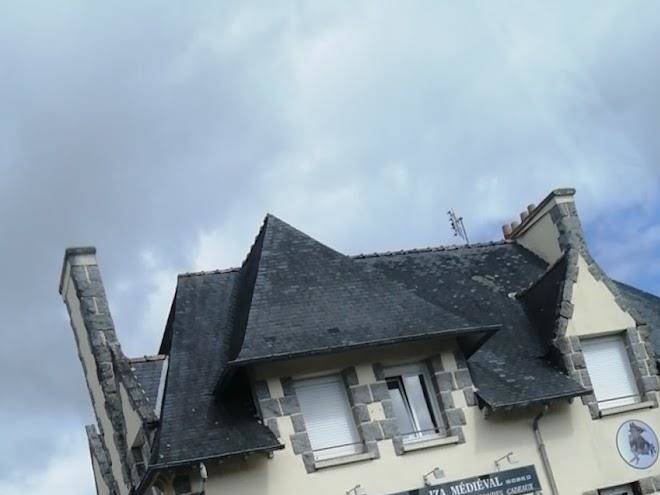 Le chat bleu