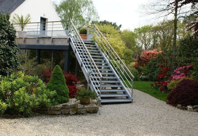 La canopee des pins