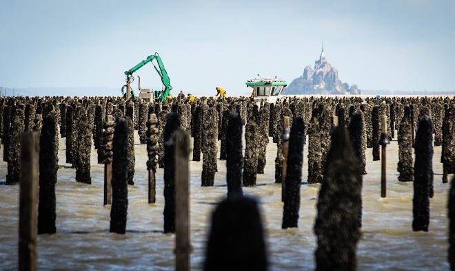 Aux Biez De La Baie Image