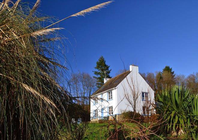 L'araucaria chambres d'hotes & gite