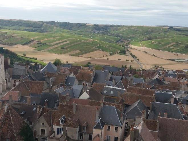 Le cep en sancerrois