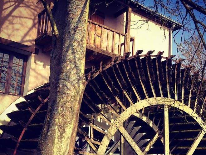 Le moulin de la forte maison