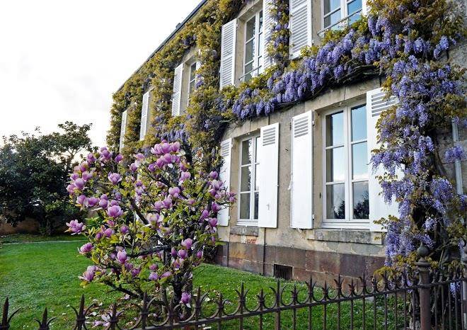 Les couleurs du verger