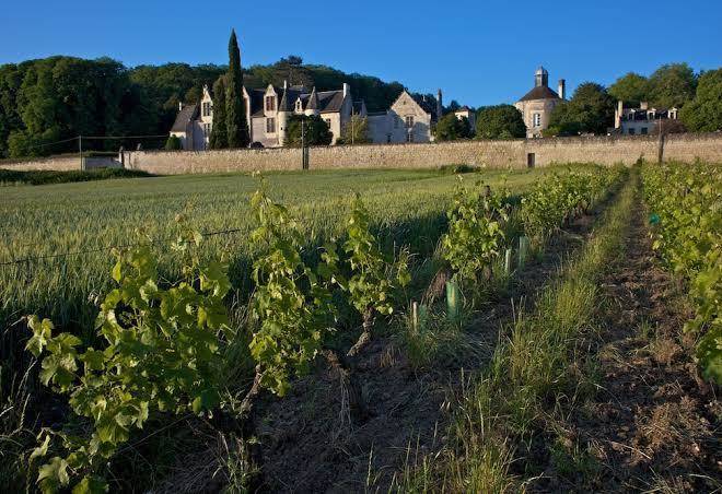 Gites chateau de la vauguyon