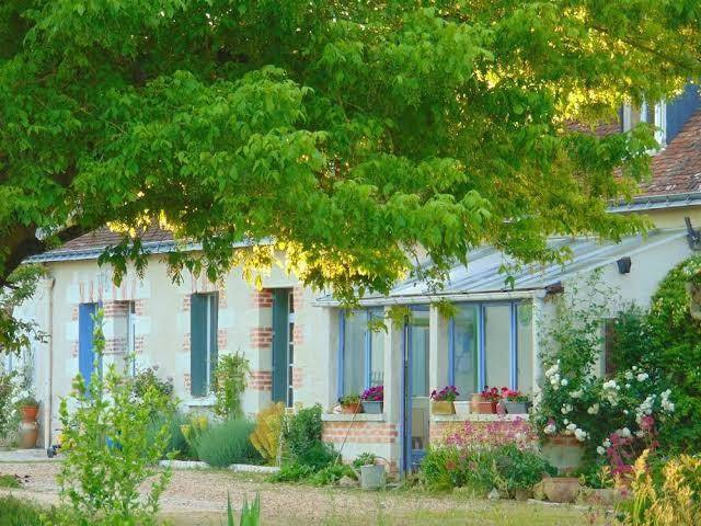 La ferme aux oies