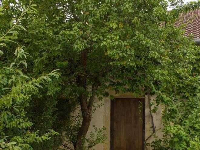 La Ferme D'helice Image