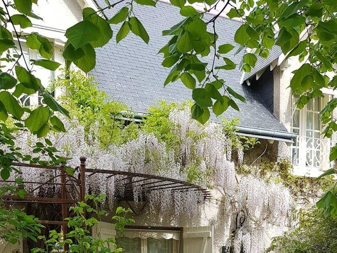 Chambres d'hotes jardin d'ivoire