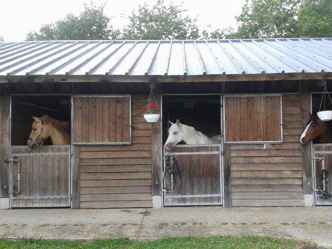 Domaine de boisvinet
