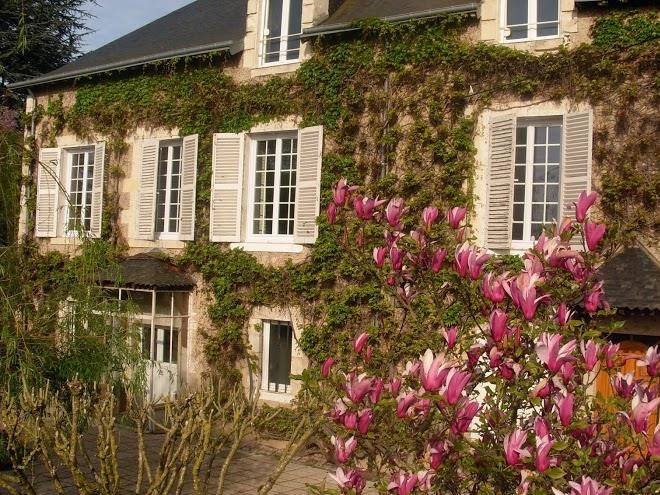 Le manoir du vieux cedre