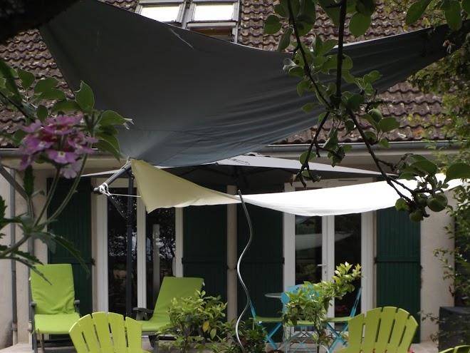 Les Elephants Bleus Image