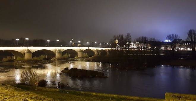 Le nid bord de la loire