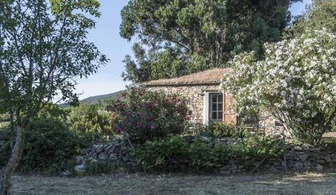 Les jardins de foata