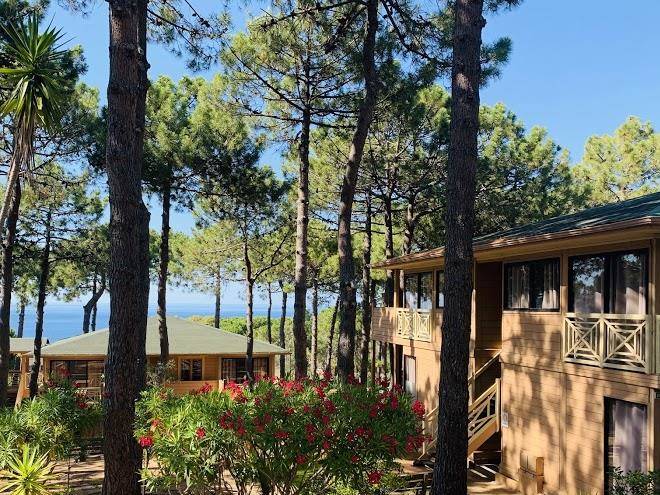 Residence les pins