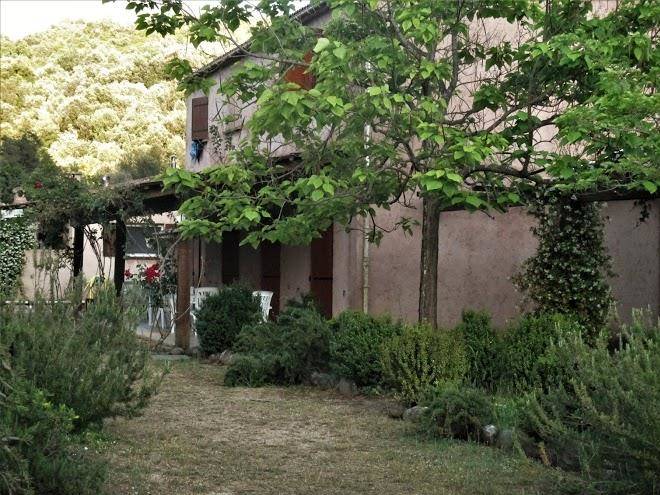 L'ogliastru
