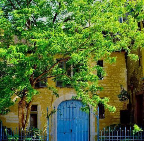 Le jardin de la cathedrale