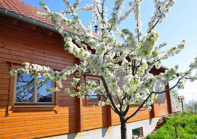 Chambres d'hotes boisdore