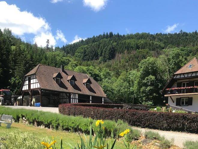 Chambres d'hotes maison forestiere efftermatten