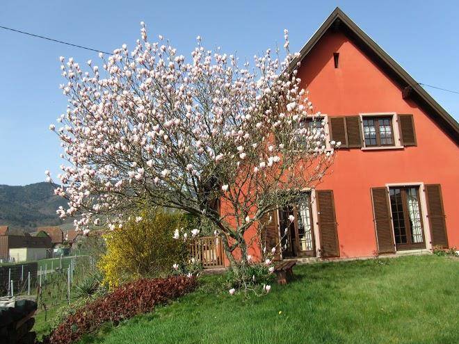 Chez martine