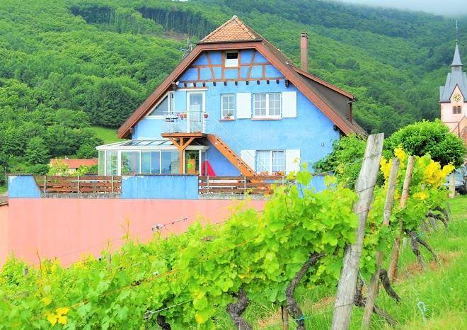 Domaine bohn vins et maison d'hote