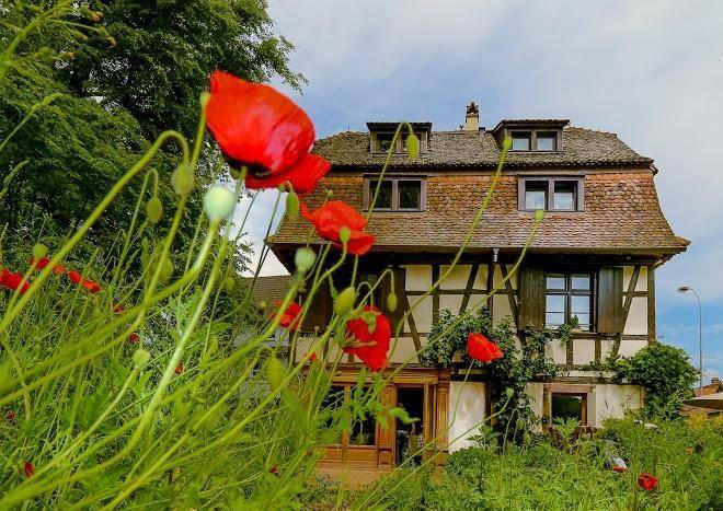 Du Cote De Chez Anne Image