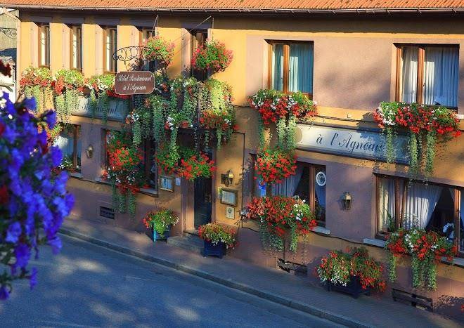 Hotel restaurant de l'agneau