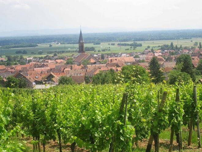 Les gites du relais des vignes