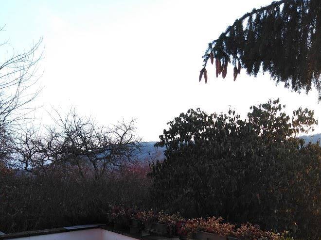Sous les pommiers