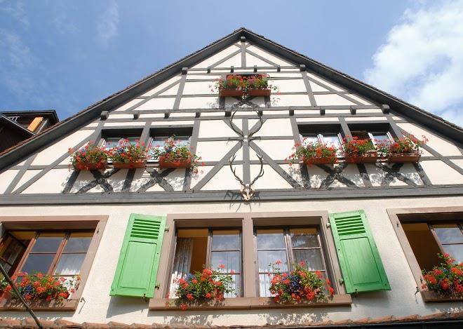 Vosges alsace