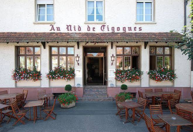 Au nid de cigognes