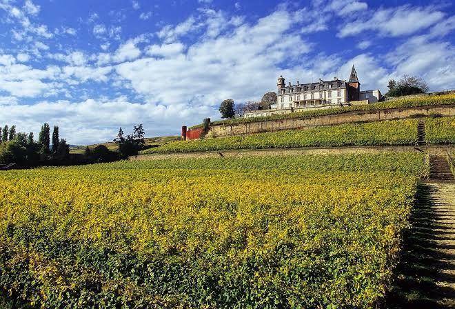 Chateau d'isenbourg & spa