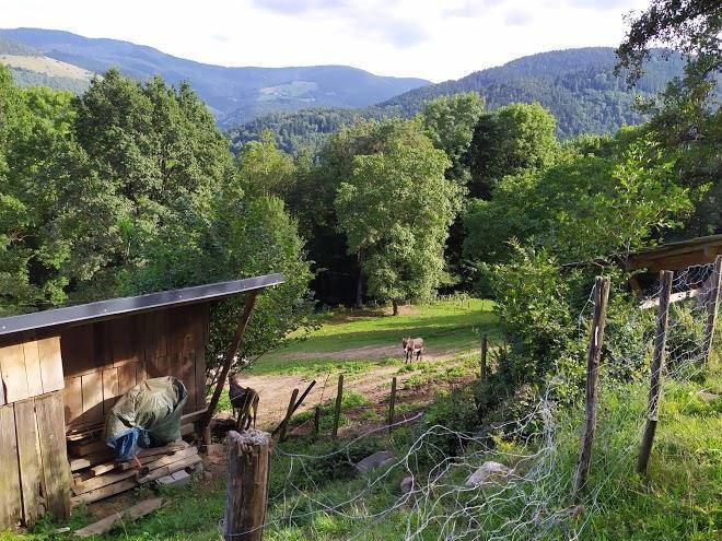 Ferme Du Pfeifferberg Image