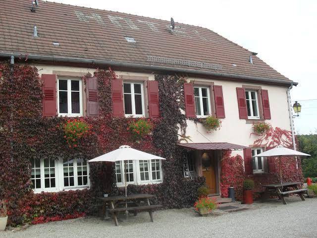 Hotel haut koenigsbourg