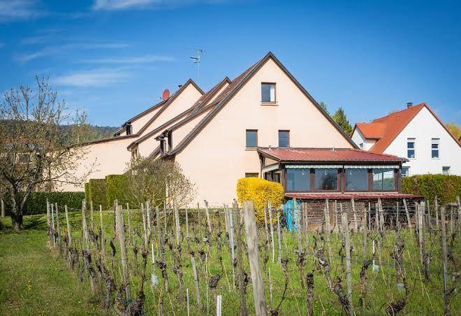 Hotel saint hubert eguisheim