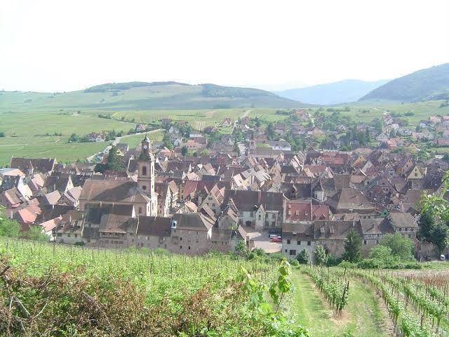 Le chez soi maison vigneronne au fil de l'ecriture