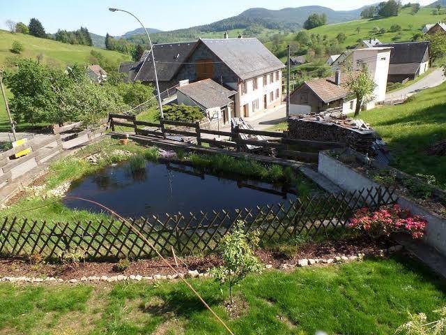 Le saut de la truite a orbey
