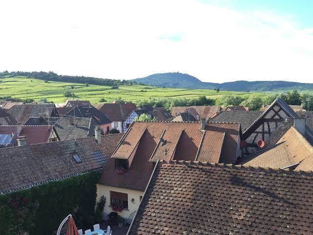 S'harzala jaune