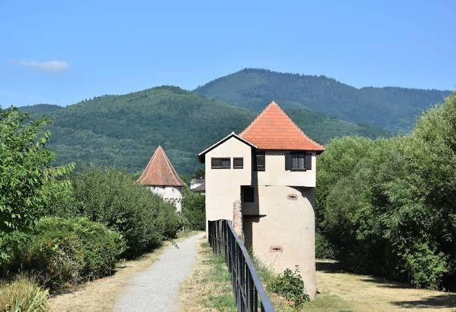 S'harzala vert
