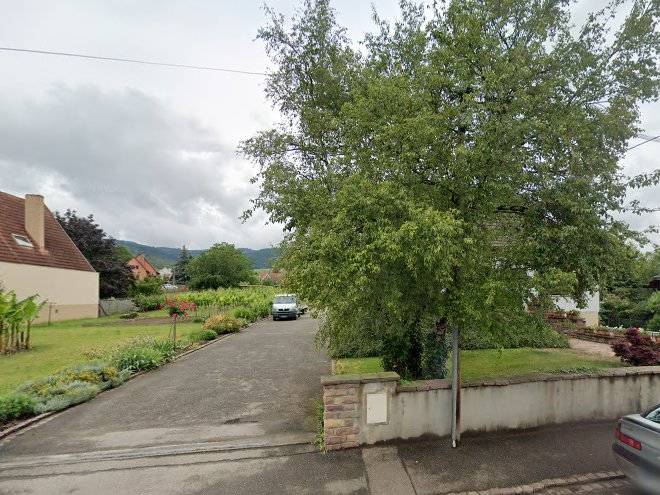 Schneider Albert Image