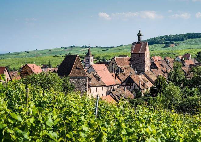 Vins d'alsace domaine agape