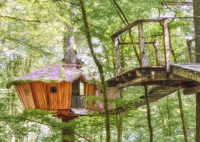 L'arbre a cabane