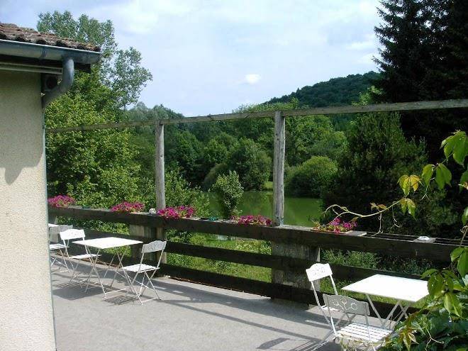 L'orchidee Home Image