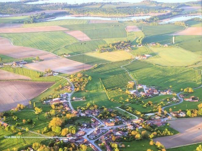 La Neottie Nid D'oiseau Image