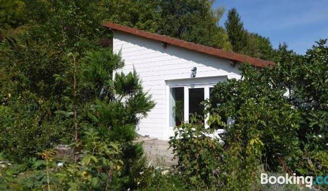Dans un jardin